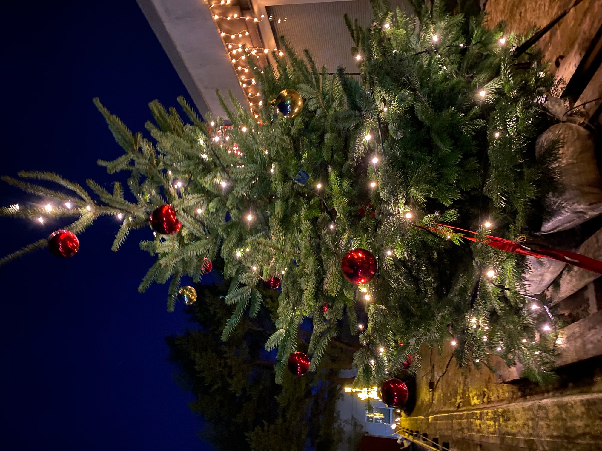 Scharbeutz Weihnachtsbeleuchtung 2020 Weihnachtsbaum