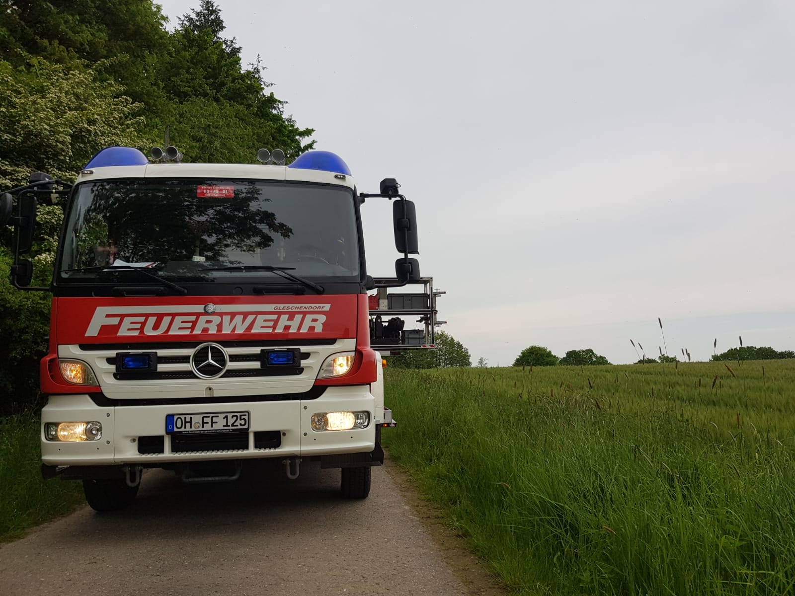 Einsatz 14/2021 Feuerwehr Gleschendorf