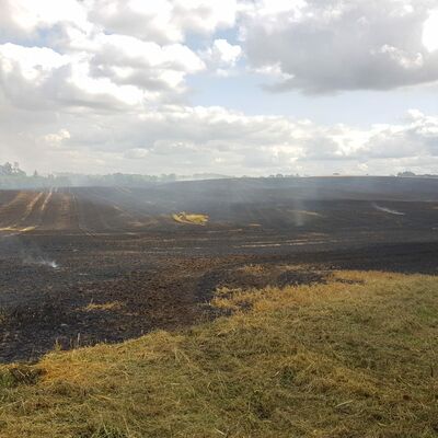 Bild vergr��ern: Fl�chenbrand Ahrensb�k; 26/2021 FF Gleschendorf