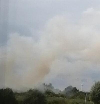 Bild vergr��ern: Einsatz 32/2021 Gleschendorf