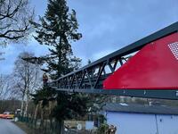 Bild vergr&ouml;&szlig;ern: Scharbeutz Aktuelles 29.01.2022 Sturm Nadia
