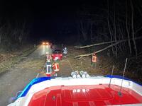 Bild vergr&ouml;&szlig;ern: Scharbeutz Aktuelles 29.01.2022 Sturm Nadia