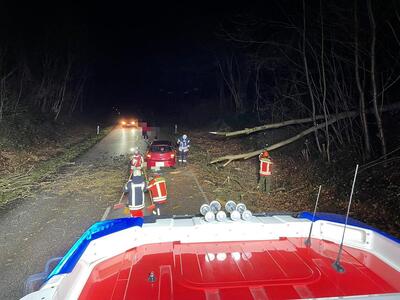 Bild vergr��ern: Scharbeutz Aktuelles 29.01.2022 Sturm Nadia