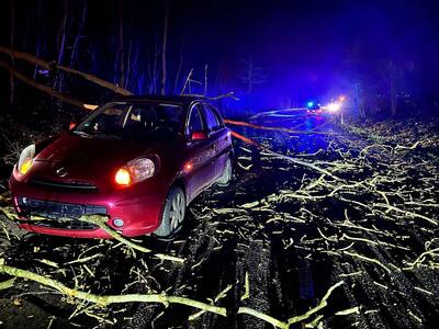 Bild vergr��ern: Scharbeutz Aktuelles 29.01.2022 Sturm Nadia