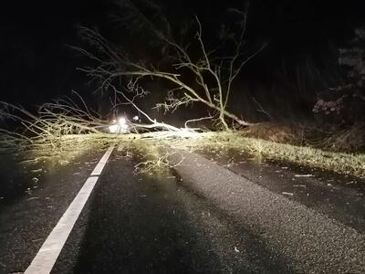 Bild vergr��ern: Feuerwehr Gleschendorf - Unwetter Zeynep 2022