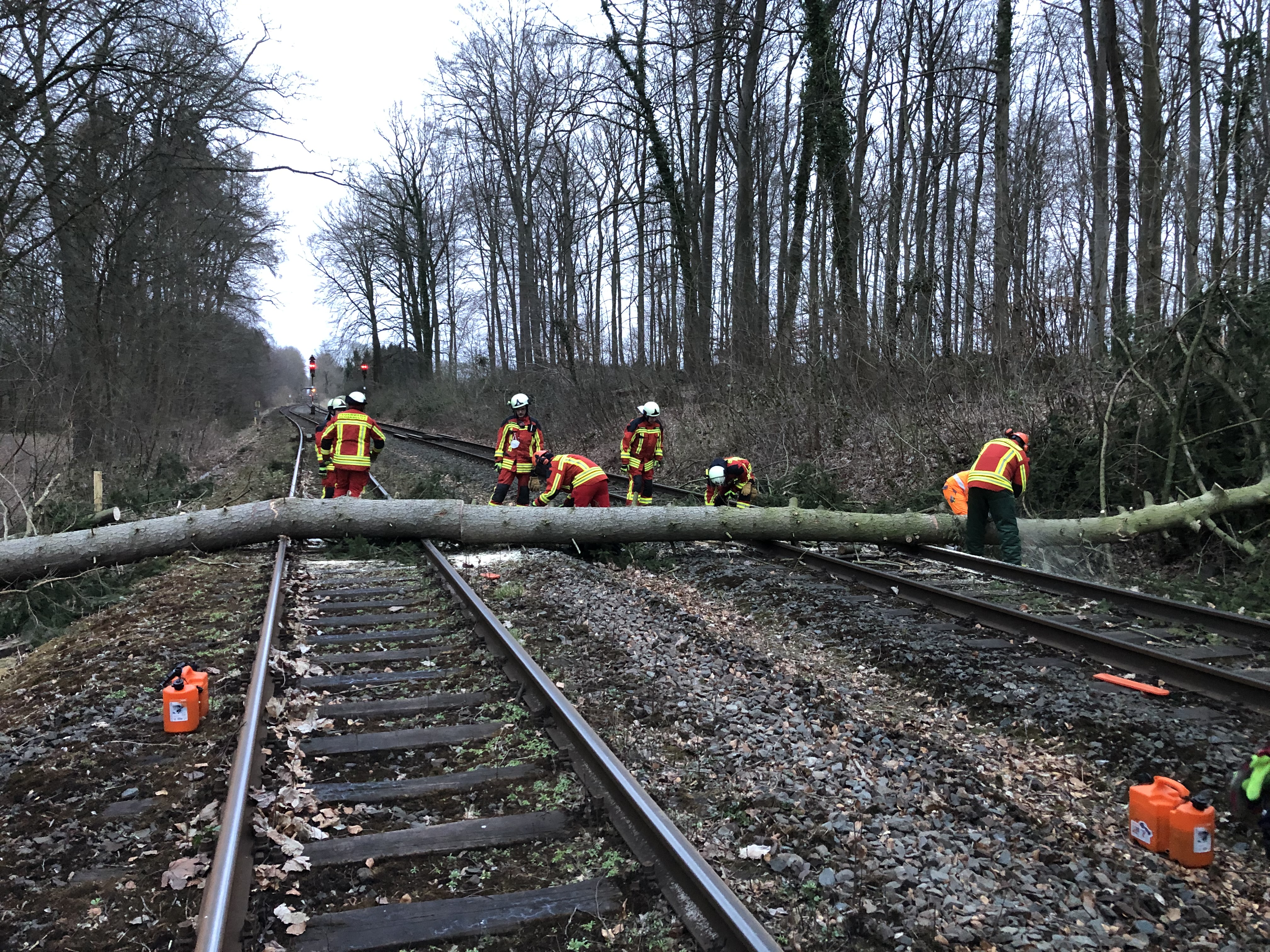 Scharbeutz Aktuelles 31.03.2022 B�ume auf Bahngleise