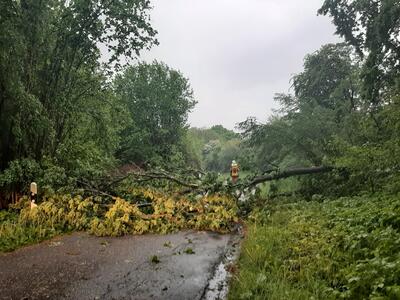 Bild vergr��ern: Gleschendorf Einsatz 30/2022