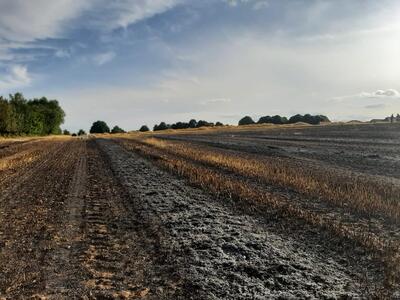 Bild vergr��ern: Gleschendorf Einsatz 37/2022