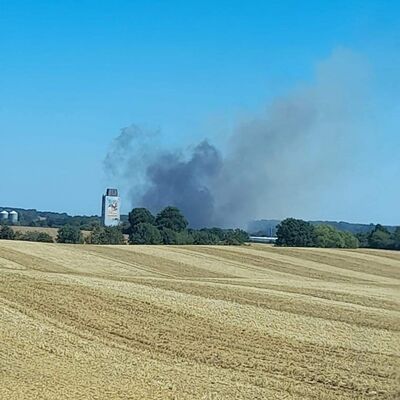 Bild vergr��ern: Feuer L 309 und Bahnlinie L�beck-Kiel (1)