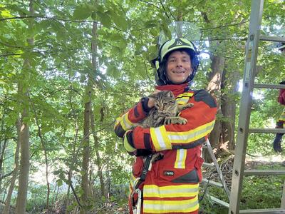 Bild vergr&ouml;&szlig;ern: Scharbeutz Aktuelles 06.06.2023 Katze im Baum