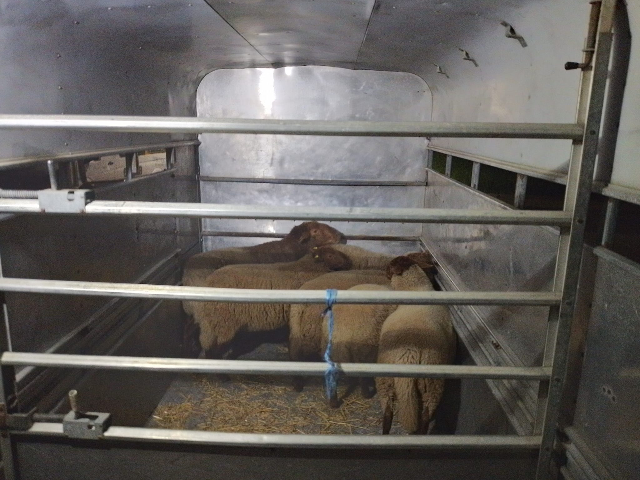 Gleschendorf Einsatz 41/2023