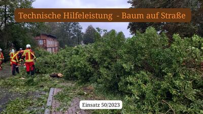 Bild vergr��ern: Gleschendorf Einsatz Sturmlage 2023