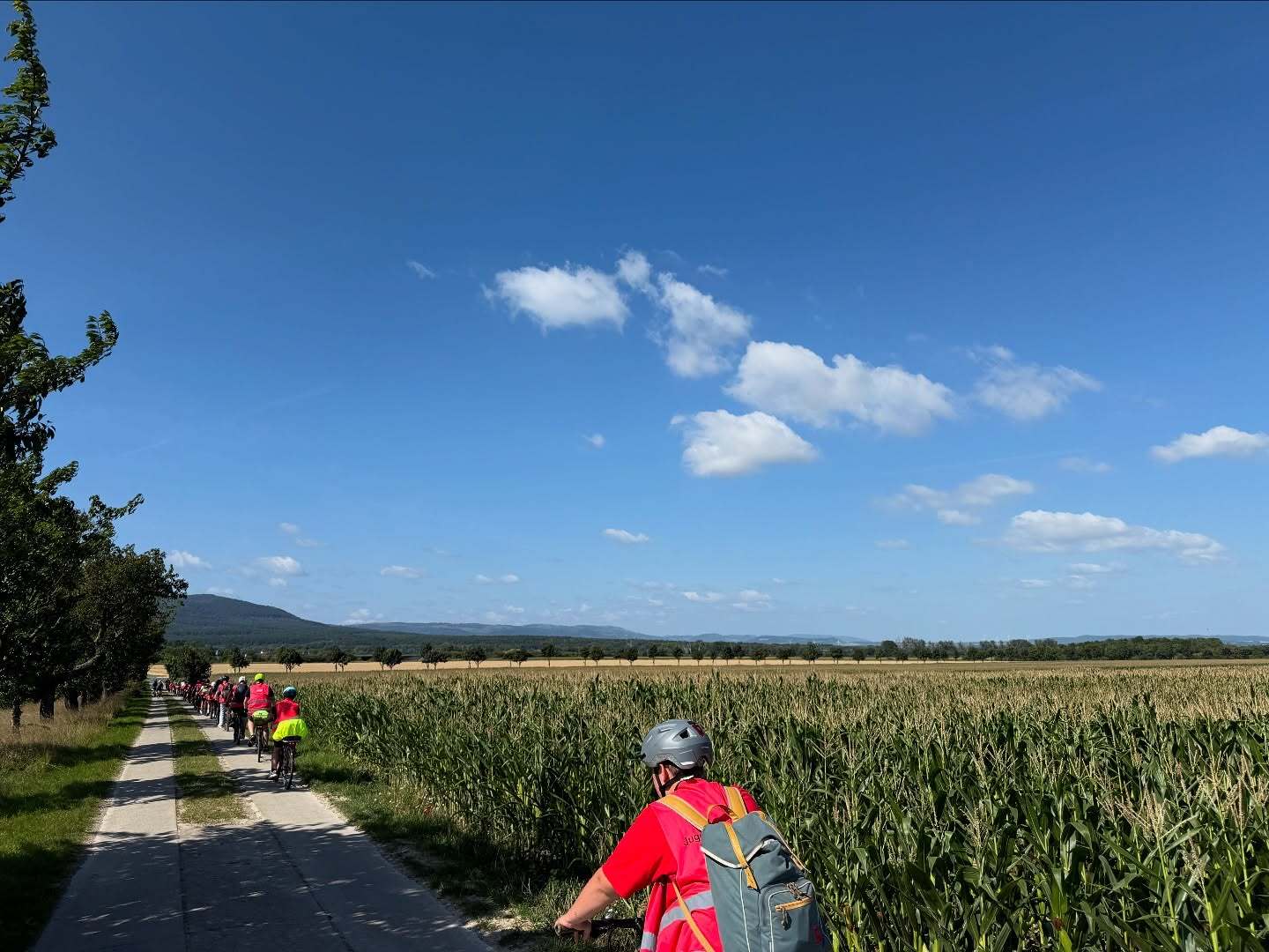 Scharbeutz Aktuelles 14.08.2025 8.Tag Sommerfahrt