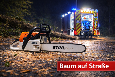 Bild vergr��ern: EA719D3B-CB98-4C67-B84E-3E0AB2BB0FC4