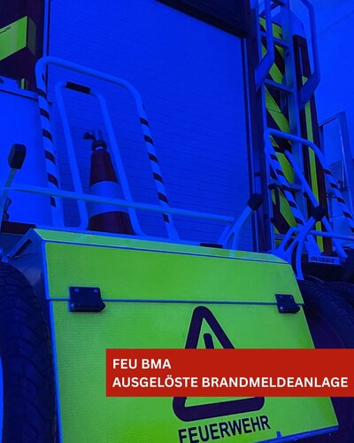 Bild vergr��ern: FEU BMA P�nitz am See 