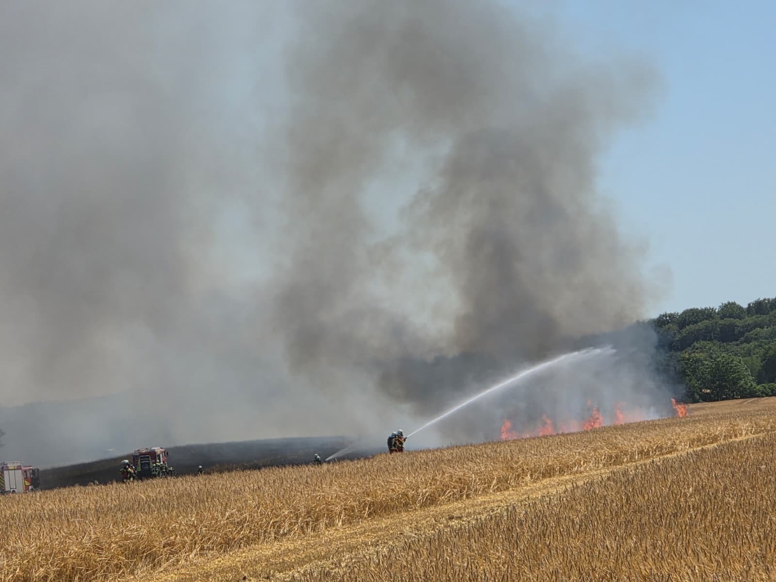 Scharbeutz Aktuelles 12.07.2026 Fl�chenbrand Gronenberg