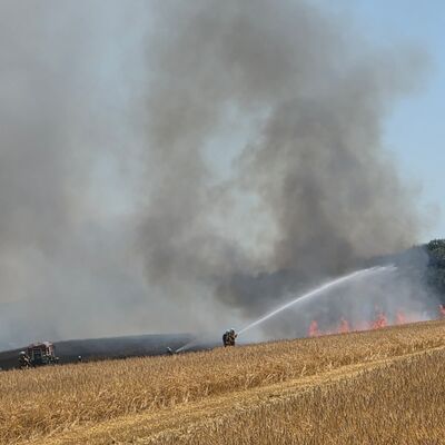 Bild vergr��ern: Scharbeutz Aktuelles 12.07.2026 Fl�chenbrand Gronenberg