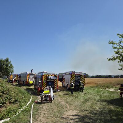 Bild vergr��ern: Scharbeutz Aktuelles 12.07.2026 Fl�chenbrand Gronenberg