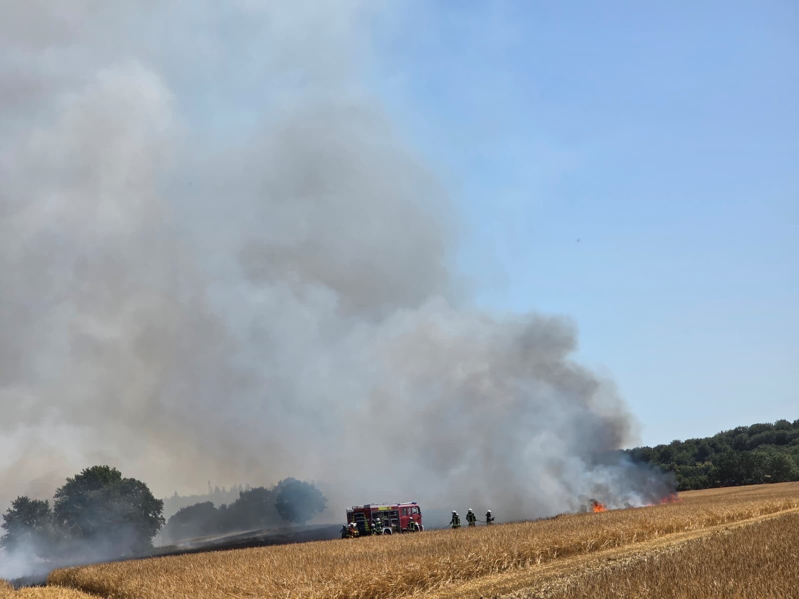 Scharbeutz Aktuelles 12.07.2026 Fl�chenbrand Gronenberg