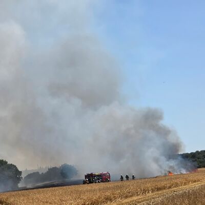 Bild vergr��ern: Scharbeutz Aktuelles 12.07.2026 Fl�chenbrand Gronenberg