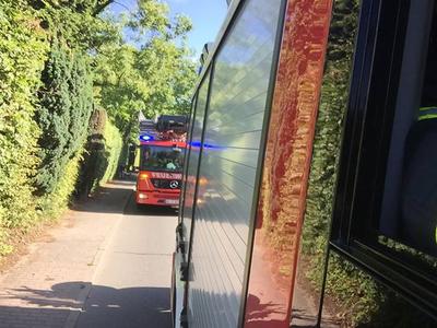 Bild vergr��ern: Scharbeutz HLF mit TMF