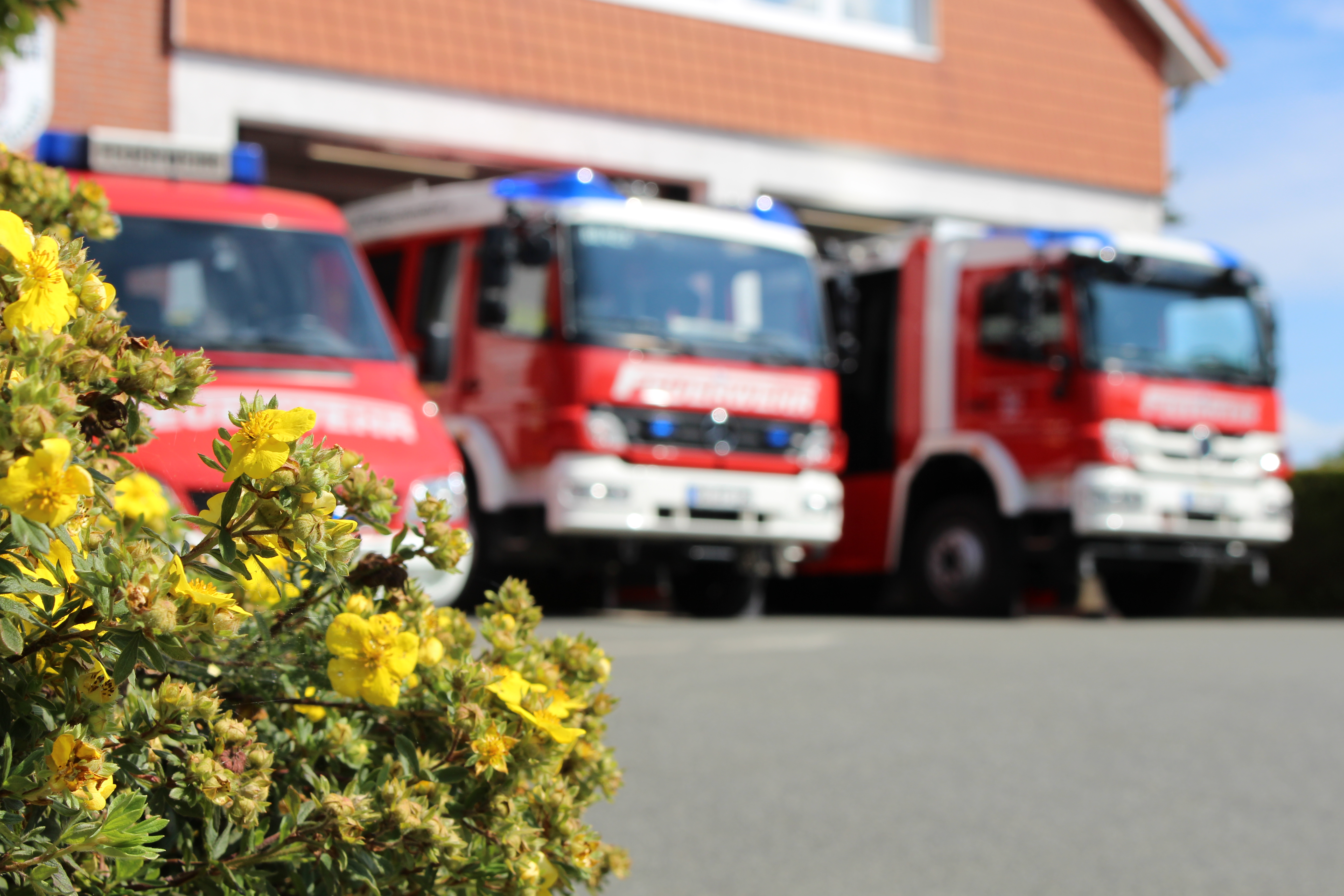 Bilder Fahrzeuge und Ger�tehaus Gleschendorf (22)