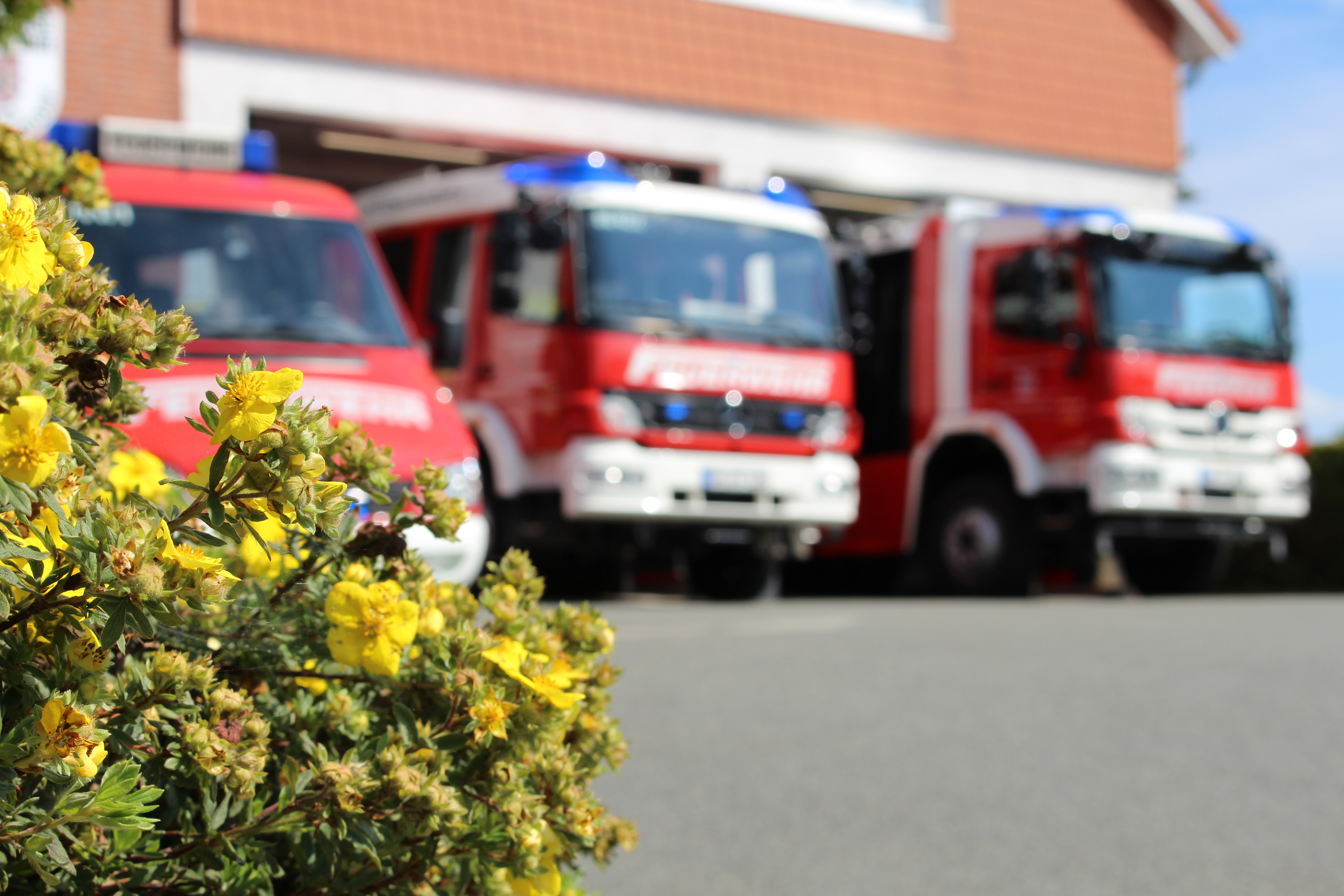 Bilder Fahrzeuge und Ger�tehaus Gleschendorf (23)
