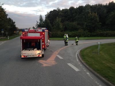 Bild vergr��ern: P�nitz_31_2015