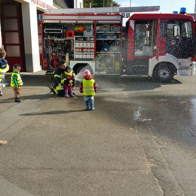 Bild vergr��ern: Zwergenst�bchen Besuch