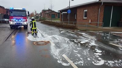 Bild vergr��ern: P�nitz 38_2015