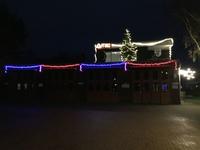 Bild vergr&ouml;&szlig;ern: Scharbeutz Weihnachtsbeleuchtung Bild 2