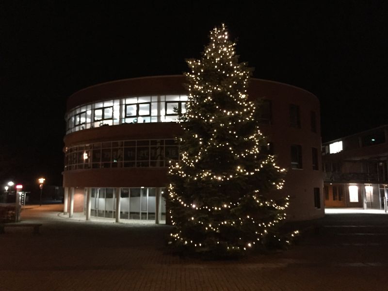 Scharbeutz Weihnachtsbaum am Bürgerhaus