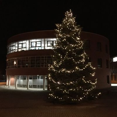 Bild vergr��ern: Scharbeutz Weihnachtsbaum am B�rgerhaus