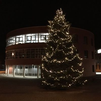 Bild vergrern: Scharbeutz Weihnachtsbaum am Brgerhaus