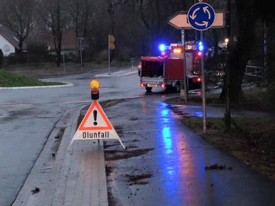 Bild vergr��ern: P�nitz 56_2015