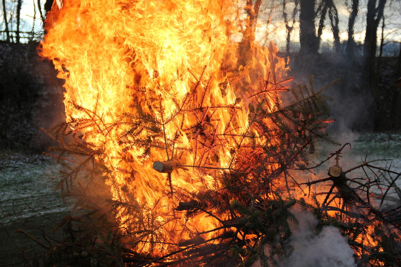 Tannenbaum-verbrennen Gleschendorf