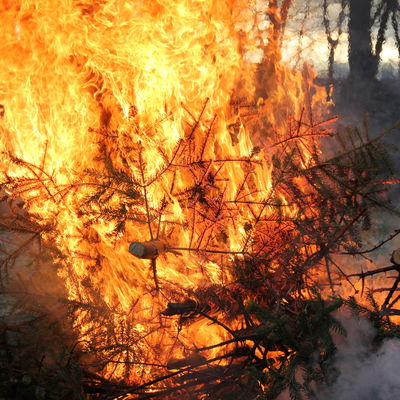 Bild vergrern: Tannenbaum-verbrennen Gleschendorf