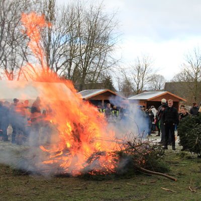 Bild vergr��ern: Tannebaum 2