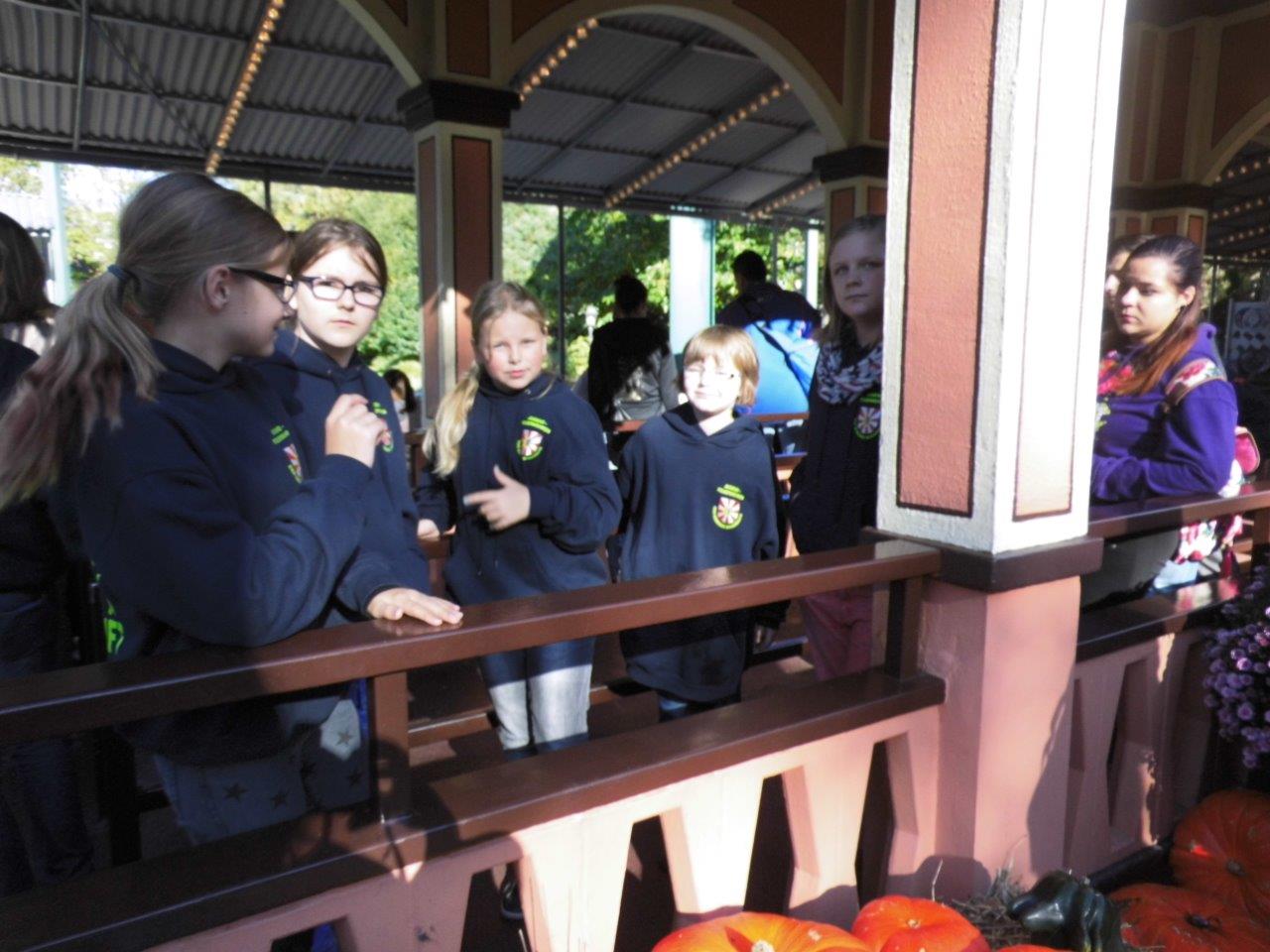 Europapark 2015 (10)