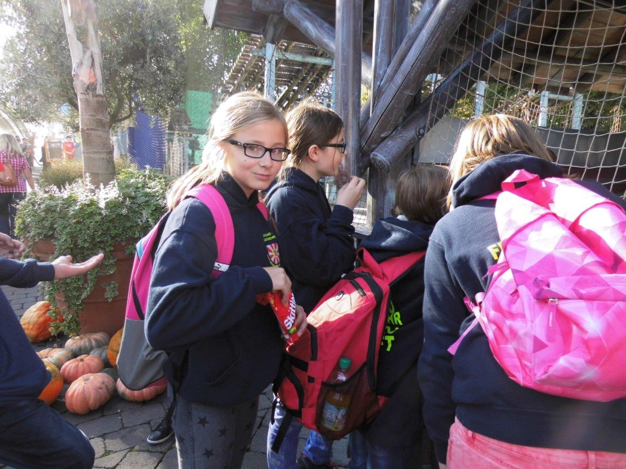 Europapark 2015 (7)